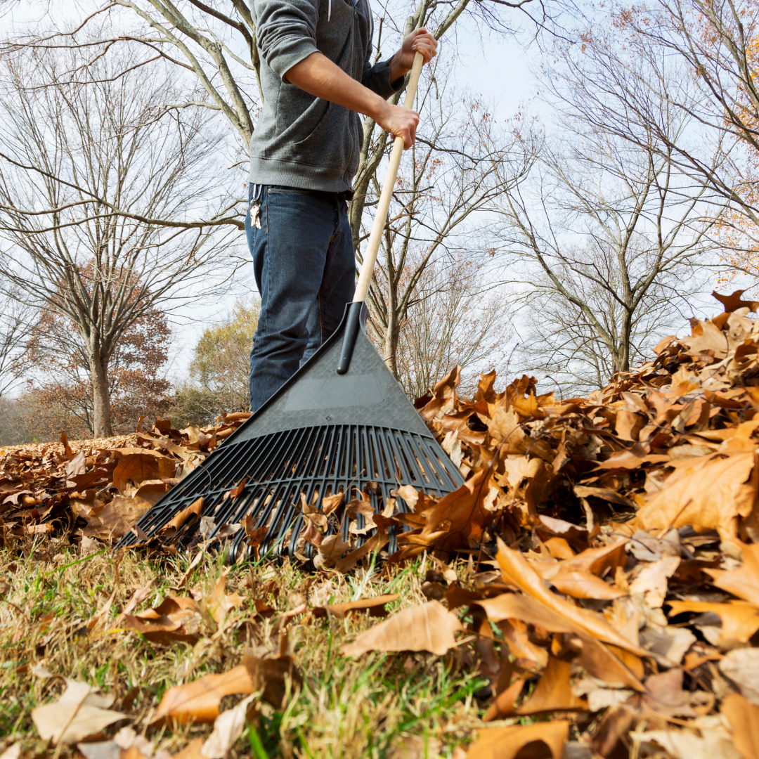 Yard waste