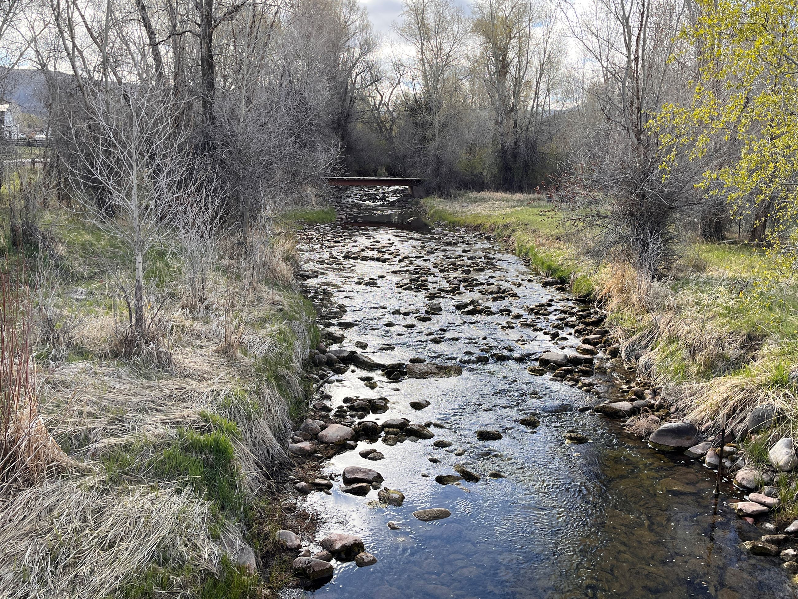 Photo of Brush Creek