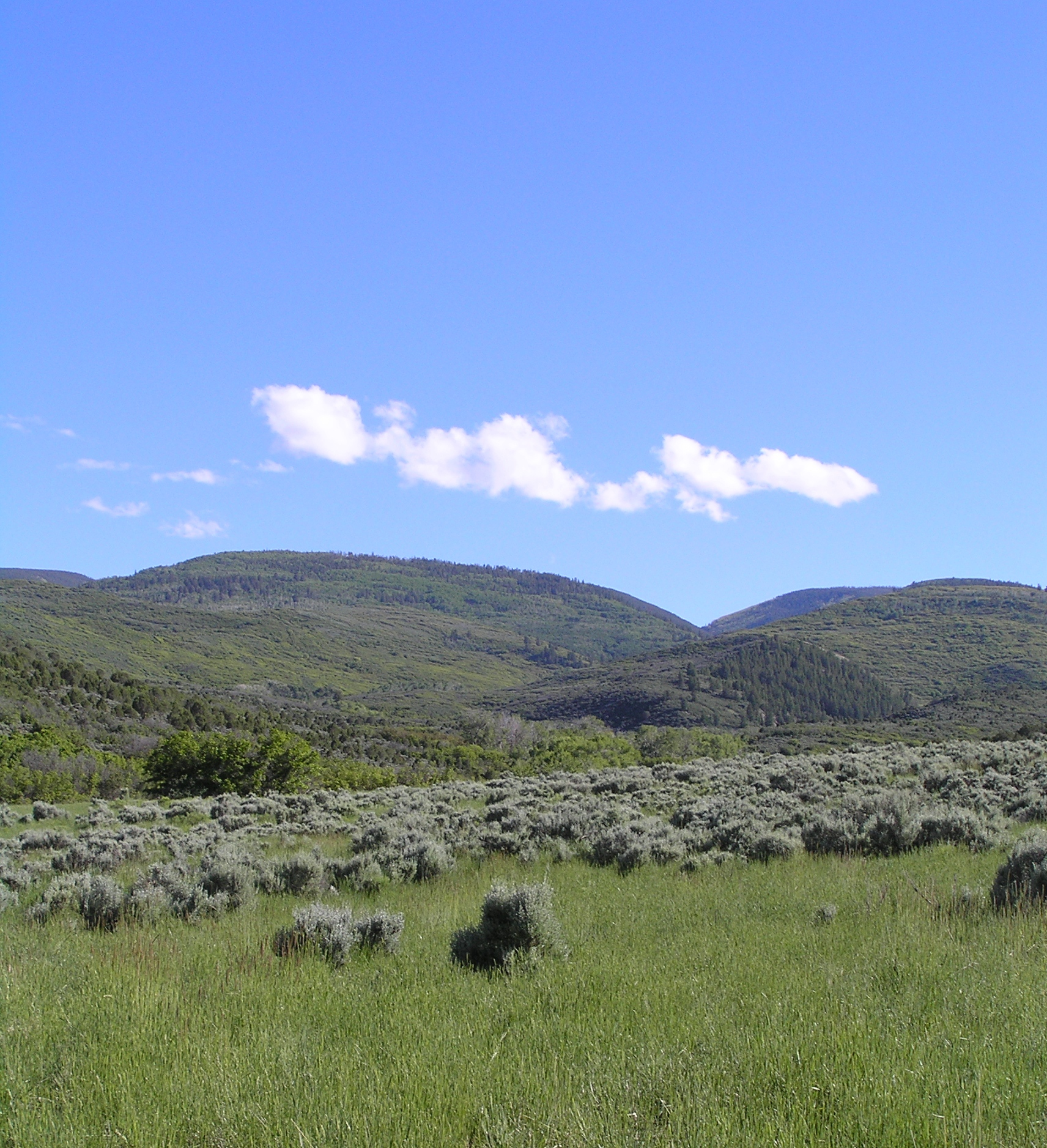 45 open space scenery.jpg