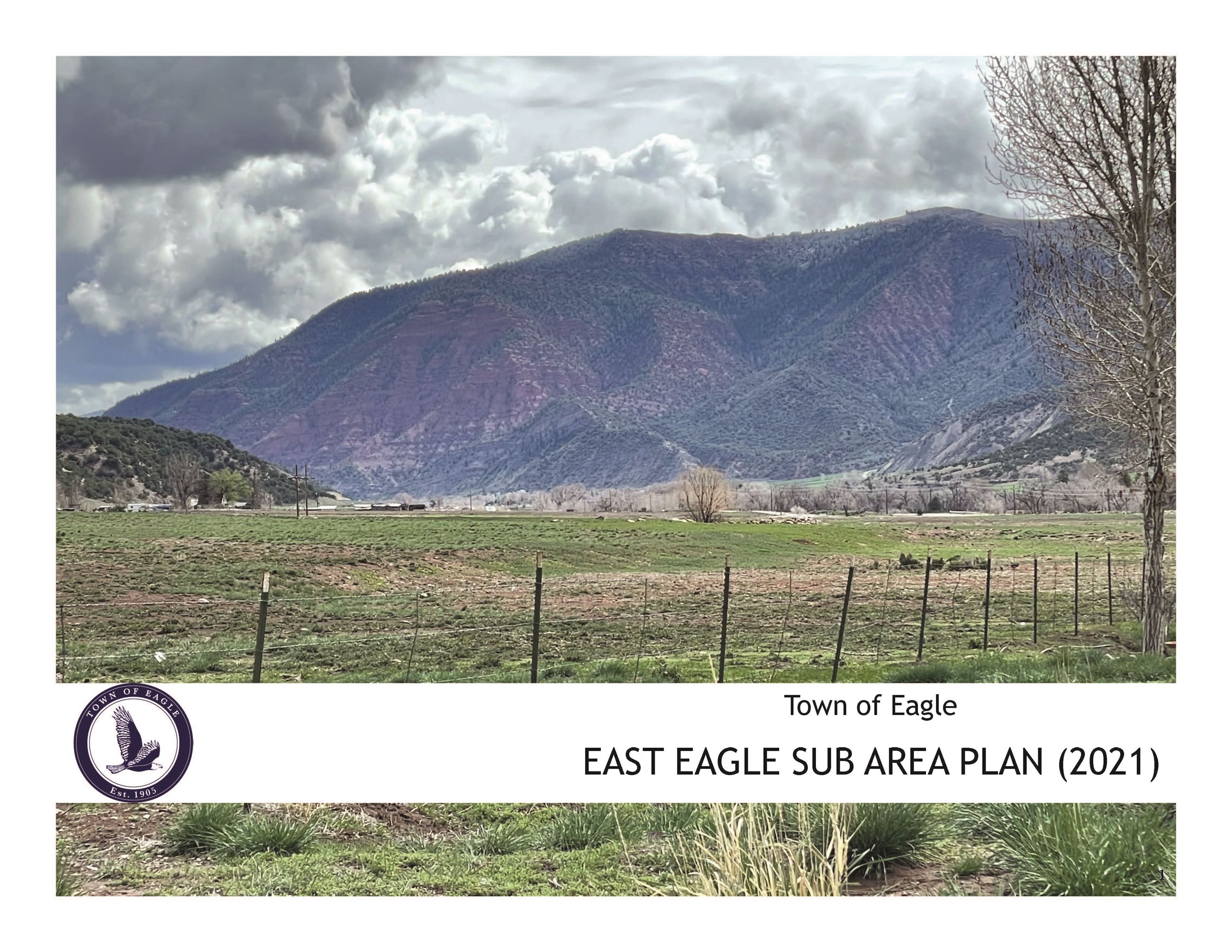 Adoption Plan - East Eagle Sub Area Plan (EESAP) - October 2021 Opens in new window